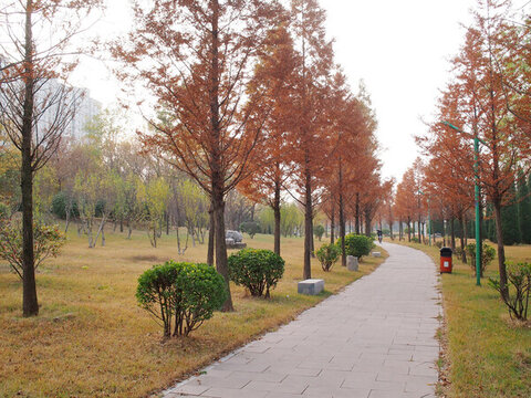 公園步道