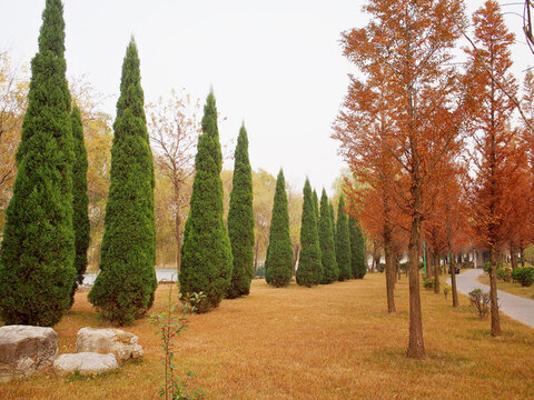 公園秋色