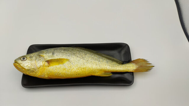 黃花魚