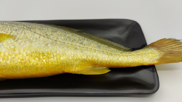 黃花魚