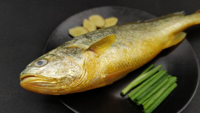 黃花魚(yú)