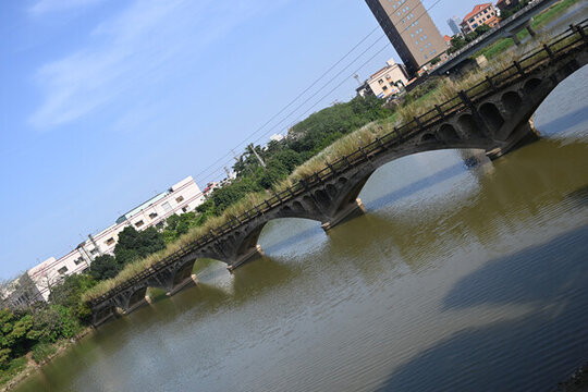 長滿野草的橋