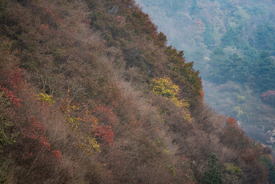 嘉午臺(tái)秋景