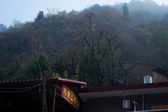 西安嘉午臺(tái)山腳
