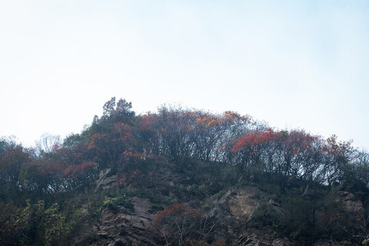 西安嘉午臺(tái)風(fēng)景區(qū)