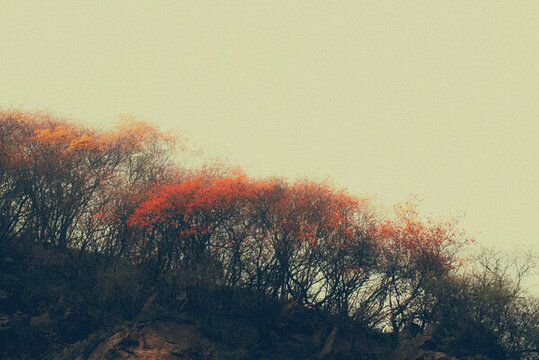 嘉午臺(tái)秋景