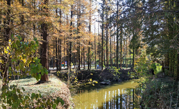 魯南國(guó)家森林公園
