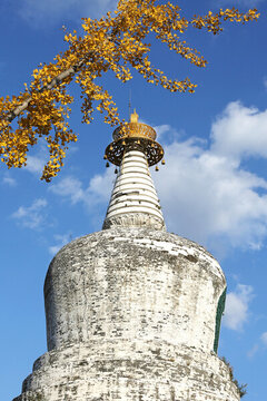 沈陽東塔永光寺