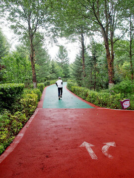 公園步道
