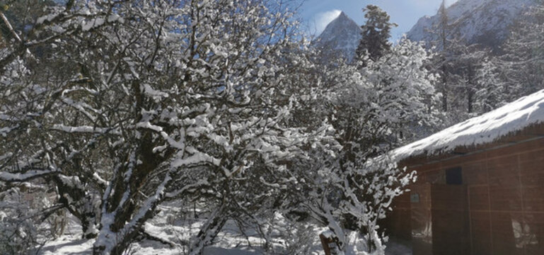 雪景風(fēng)光