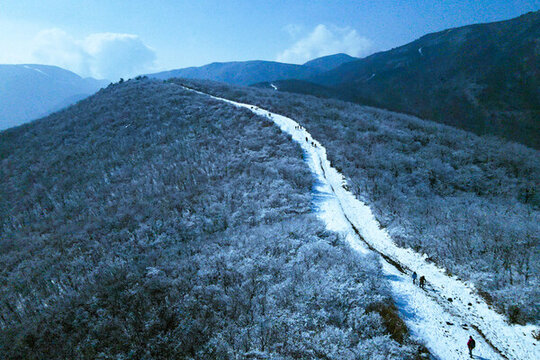 龍王山雪景