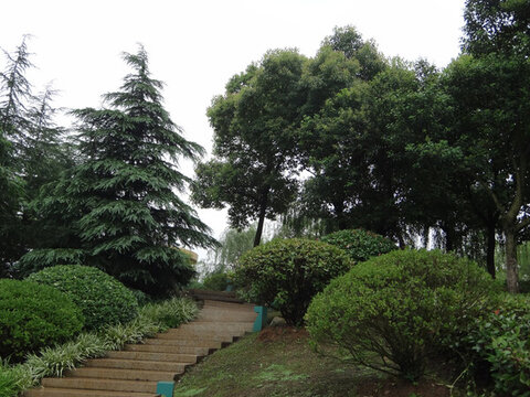 公園