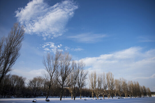 雪地天空
