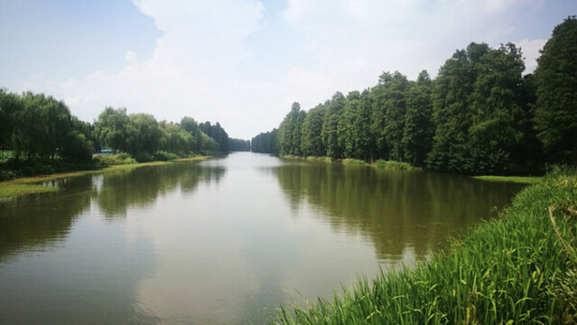 李中水上森林公園