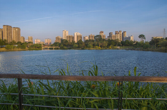 漳州西院湖公園湖畔景色