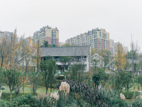 綿陽人才公園