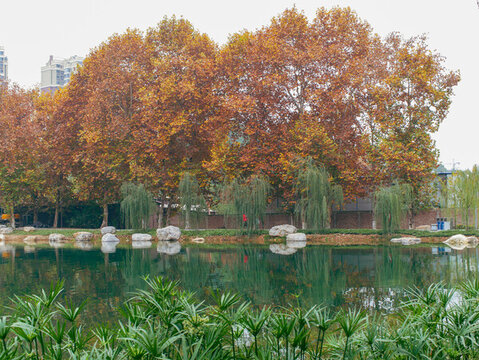 綿陽(yáng)人才公園
