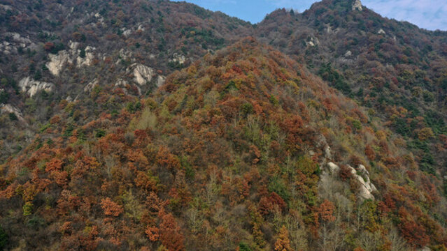 航拍秦嶺山脈秋天景色