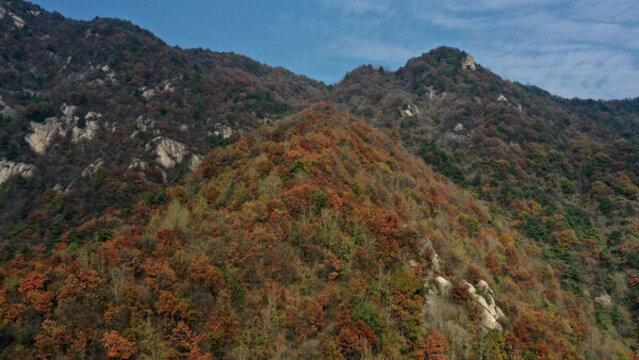 航拍秦嶺秋天景藍(lán)關(guān)古道