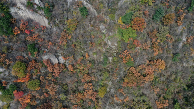 航拍秦嶺秋天景藍(lán)關(guān)古道