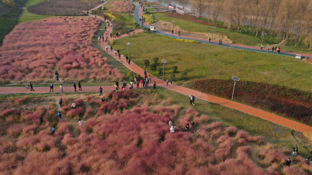 航拍灞河濕地公園秋景