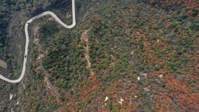 航拍秦嶺山脈秋景秦楚古道