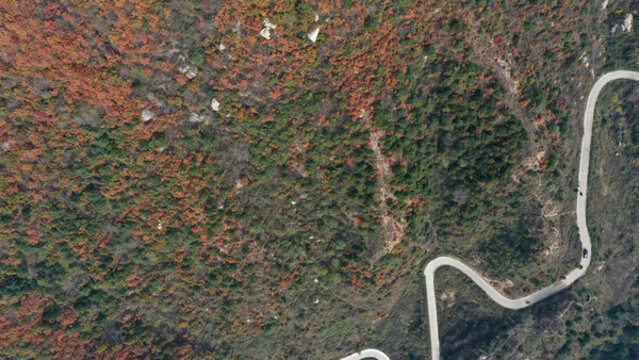 航拍秦嶺山脈秋景秦楚古道