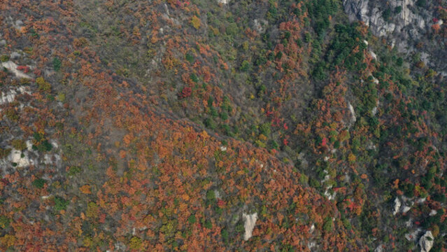 航拍秦嶺山脈秋景秦楚古道