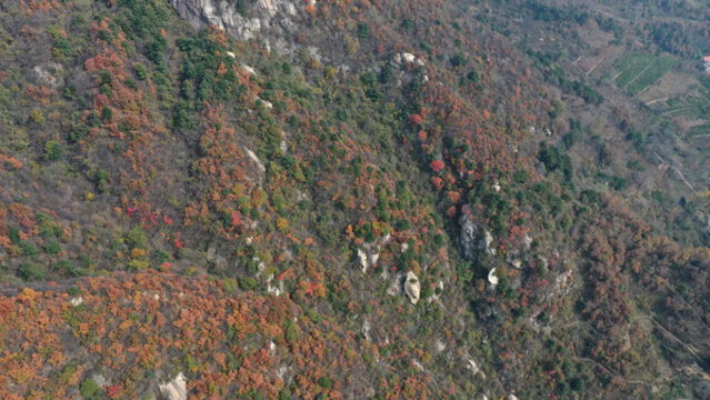航拍秦嶺山脈秋景秦楚古道