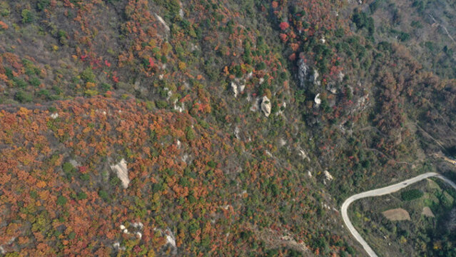 航拍秦嶺山脈秋景秦楚古道