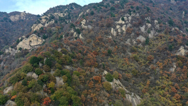 航拍秦嶺山脈秋景秦楚古道