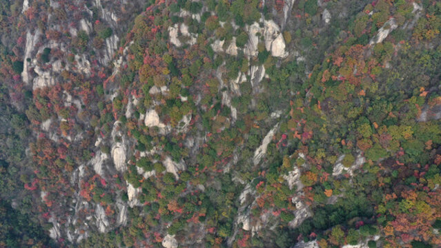 航拍秦嶺山脈秋景秦楚古道