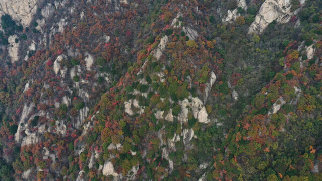 航拍秦嶺山脈秋景秦楚古道