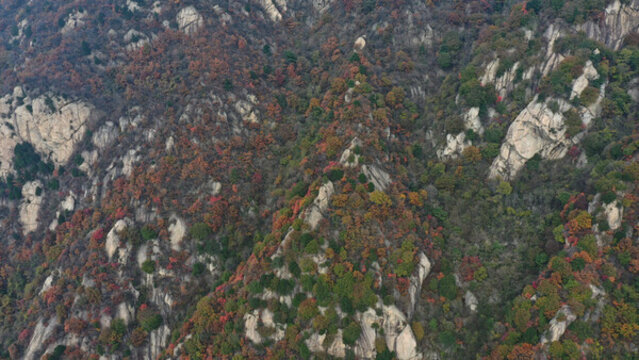 航拍秦嶺山脈秋景藍關古道