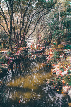園林景觀