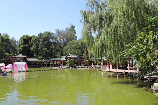烏魯木齊人民公園夏季景色