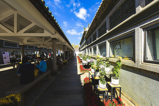 廈門集美鰲園菊花展覽