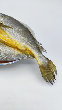 黃魚鲞