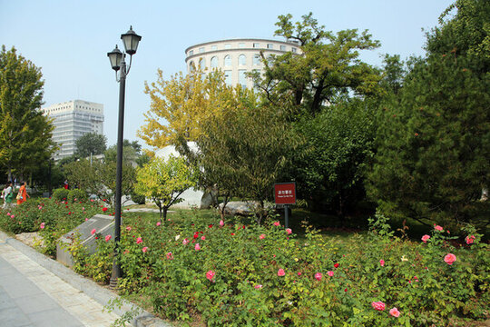 明城墻遺址公園的鮮花小徑