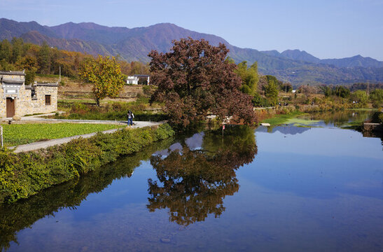 安徽黃山塔川