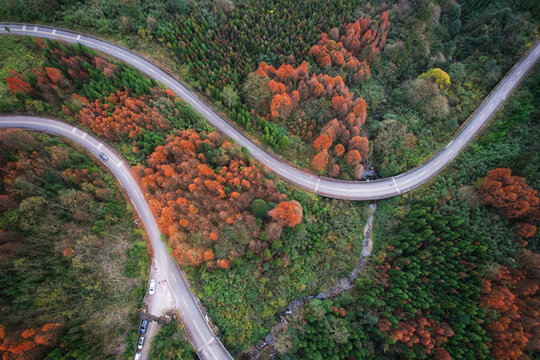 崇州琉璃壩彩林公路最美鄉(xiāng)村