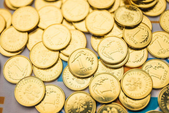 經(jīng)濟(jì)金融世界的金幣