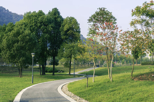 湖北宜昌市五隴濕地美景