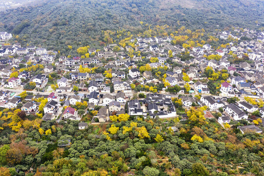 東山鎮(zhèn)秋色