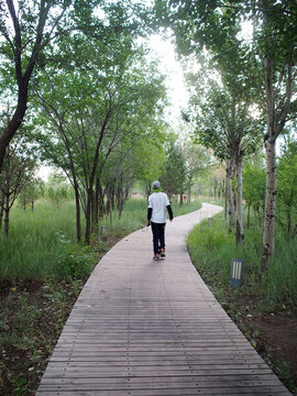 公園木質(zhì)步道