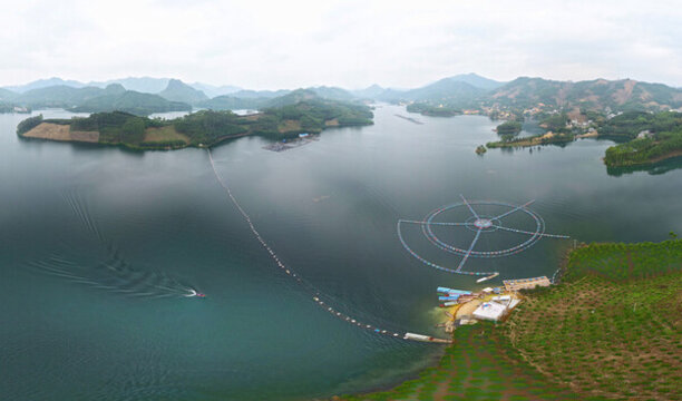 大化六谷梅花島觀賞魚基地