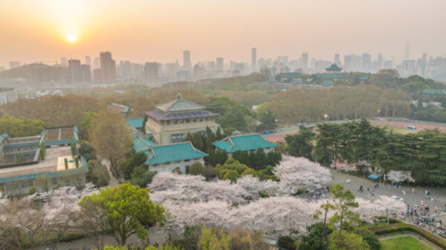 武漢大學(xué)櫻花