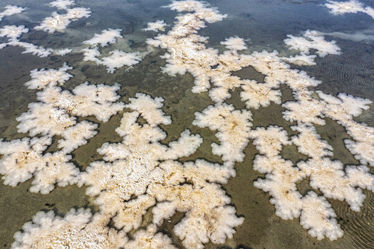 山西運(yùn)城鹽湖驚現(xiàn)硝花景觀