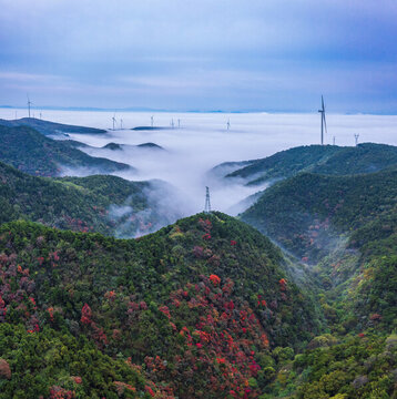 云海飄渺紅葉似火美景