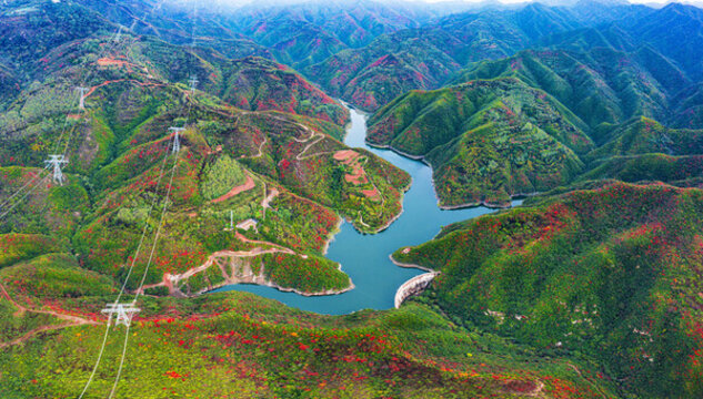 云海飄渺紅葉似火美景